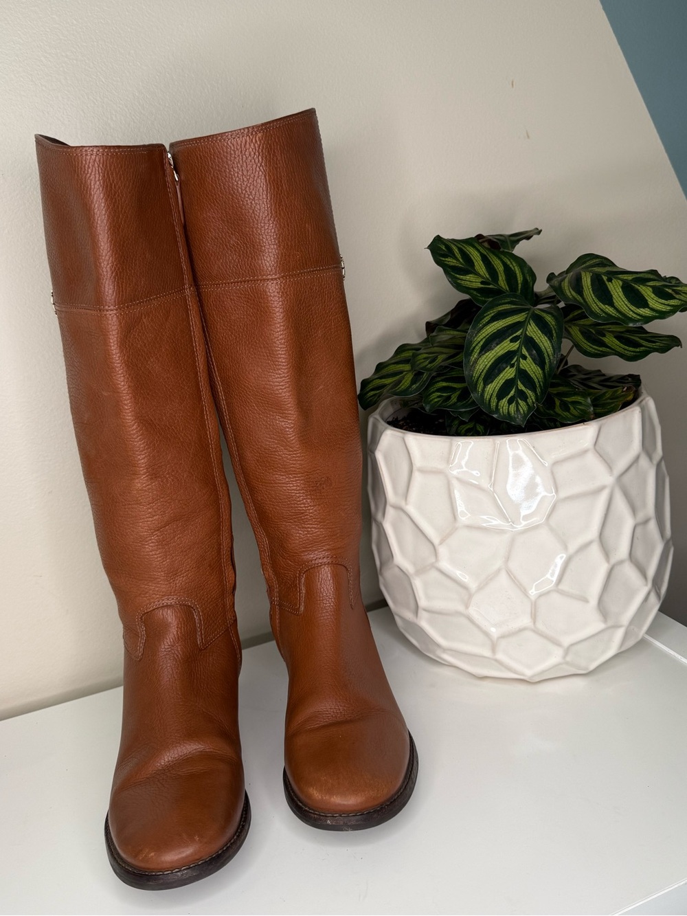Tory Burch Cognac Pebbled Leather Riding Boots Tall Knee High Logo 7M Brazil - Picture 3 of 9